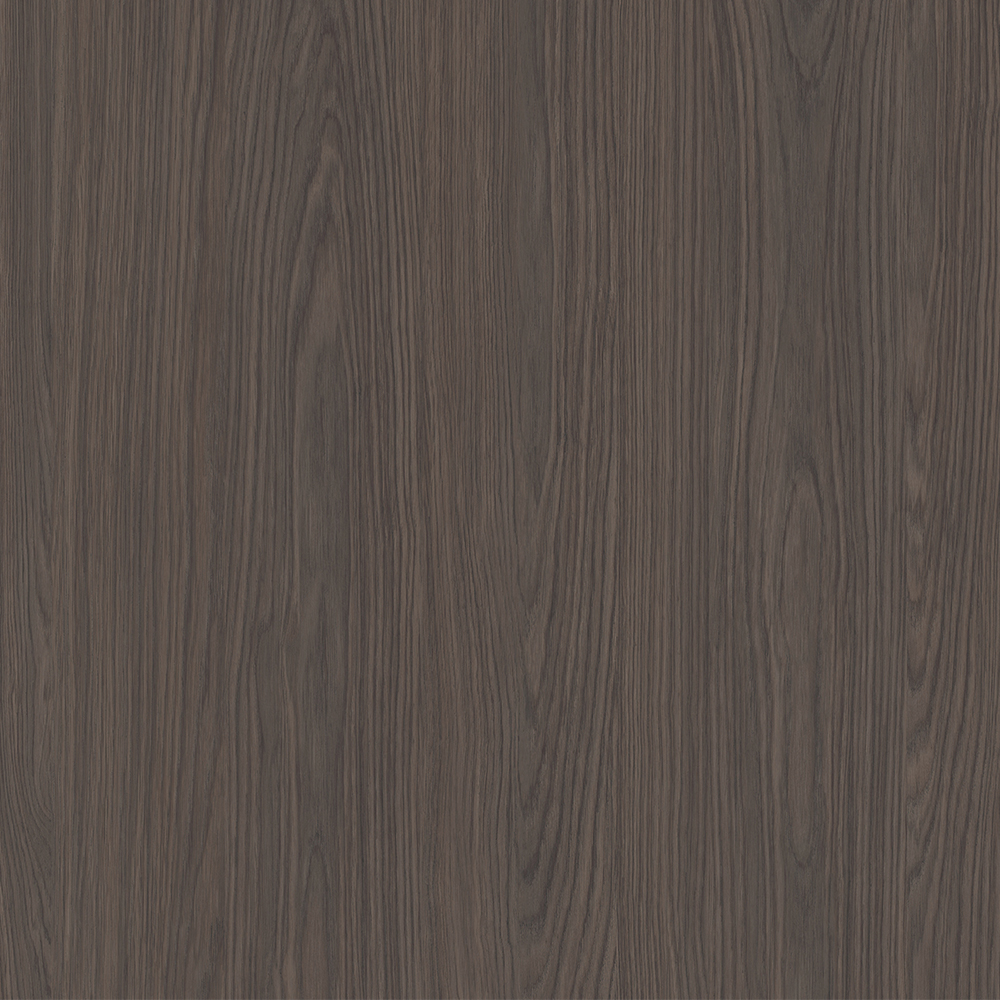VISION MDF A662 REMBRANDT